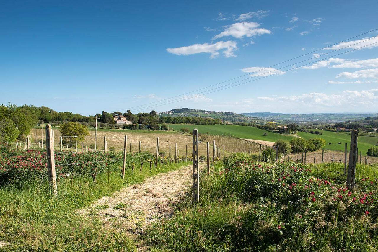A11 - Varano, Delizioso Trilocale Con Giardino Ancona Exterior photo